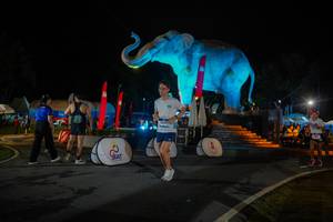 BIB: 
                            <button type="button" onclick="openModal(26552017)" class="btn btn-primary btn-sm float-right btn-popup" data-toggle="modal" data-target=".modal-high-quality">
                        <i class="fas fa-shopping-cart"></i> Add to Cart
                    </button>
                                            <button type="button" onclick="isThisMe(26552017, true)" class="btn btn-success btn-sm float-right btn-popup btn-isme hidden" data-toggle="tooltip" data-placement="bottom" title="นี่คือรูปของคุณใช่ไหม คลิกที่นี่เพื่อเอาเข้าอัลบั้ม">
                        <i class="fas fa-plus"></i> Add to album
                    </button>
                    <button type="button" onclick="isThisMe(26552017, false)" class="btn btn-warning btn-sm float-right btn-popup btn-isnotme hidden">
                        <i class="fas fa-ban"></i> Remove from album
                    </button>